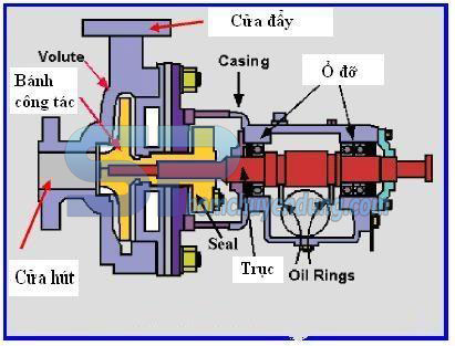 Cấu tạo máy bơm nước ly tâm