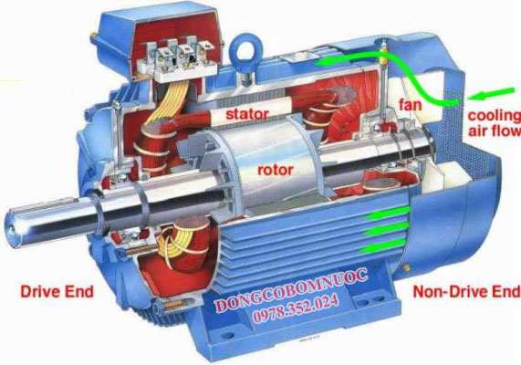 Cấu tạo của motor điện 3 pha