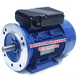 Motor điện 1 pha mặt bích