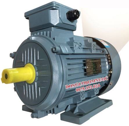 Motor điện 3 pha chân đế