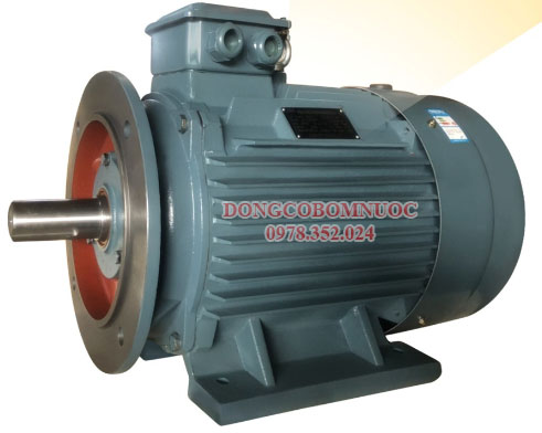 Motor điện 3 pha mặt bích